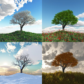 Seasons